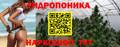 стафф Будённовск